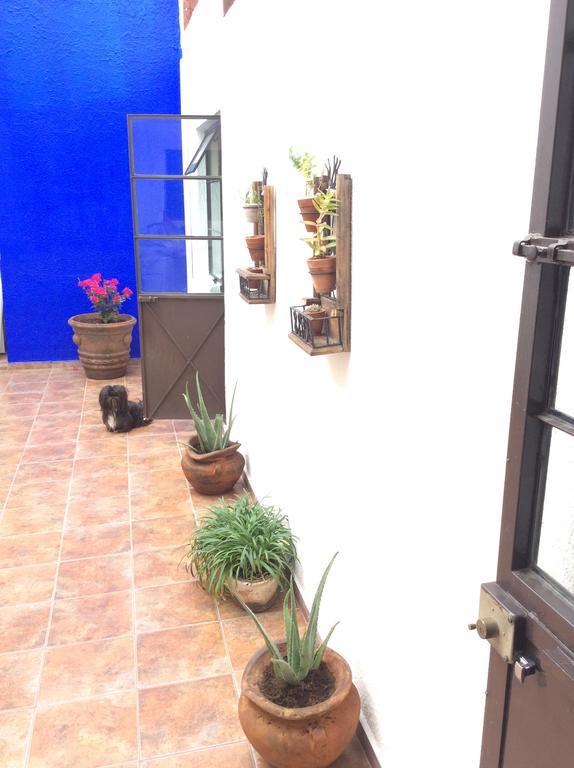 Casa Bonita Pensión Guadalajara